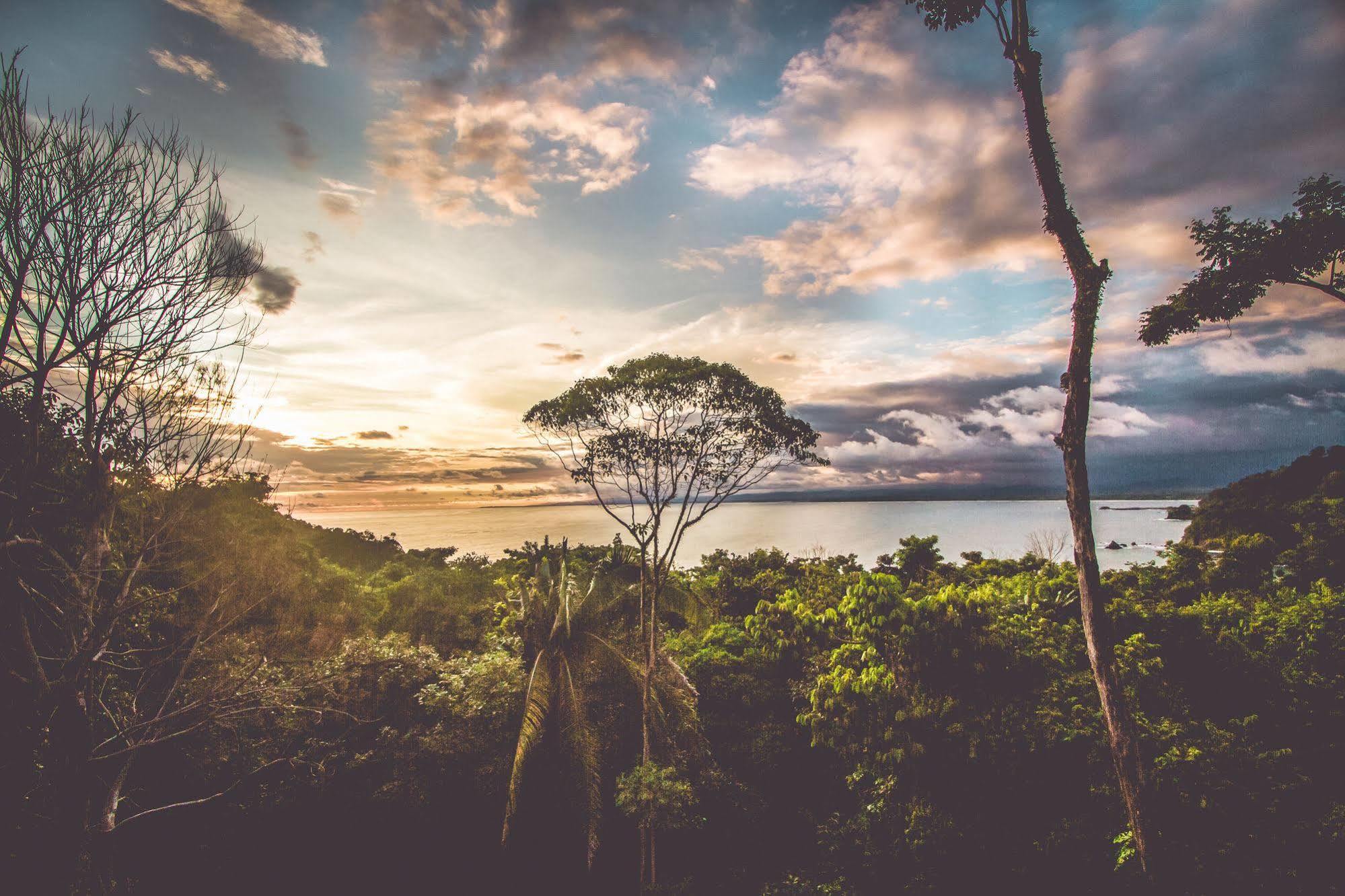 Issimo Suites Boutique Hotel & Spa - Adults Only Manuel Antonio Exterior photo